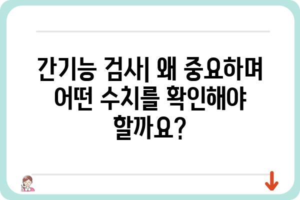 간기능 검사 결과 해석 가이드| 정상 수치부터 이상 증상까지 | 간기능 검사, 간 건강, 간 수치, 간 질환