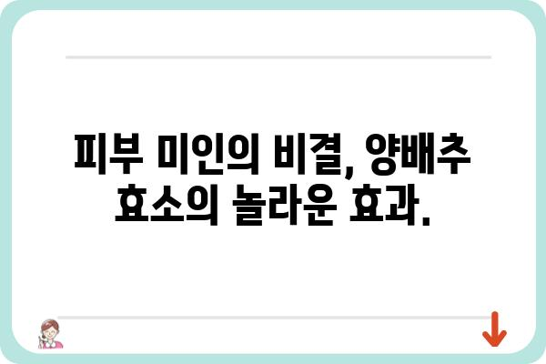 양배추 효소의 놀라운 효능| 건강과 미용, 그리고 삶의 질 향상 | 소화, 면역, 항암, 피부, 다이어트