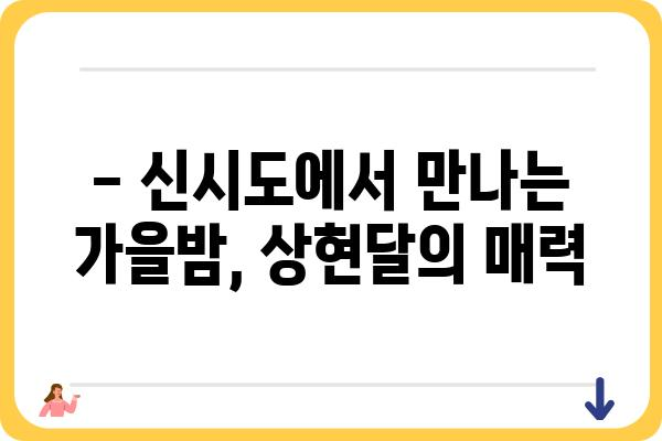 신시도 국립자연휴양림에서 바라본 상현달의 매력 | 가을밤, 자연 속에서 만나는 아름다움