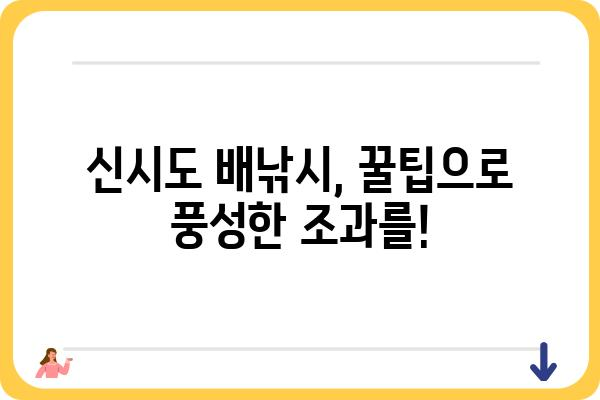 신시도 배낚시 포인트 & 꿀팁 | 신시도, 배낚시, 낚시 포인트, 조황 정보, 팁