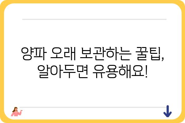 양파, 이렇게 먹으면 더 맛있다! | 양파 요리법, 양파 효능, 양파 보관법