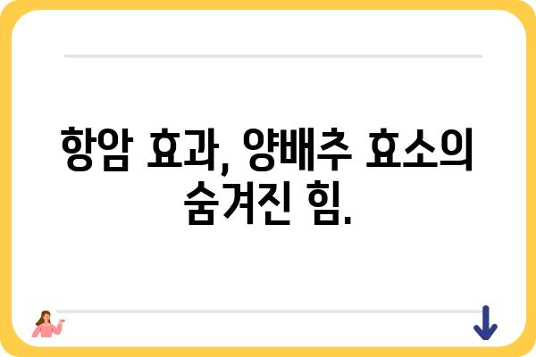 양배추 효소의 놀라운 효능| 건강과 미용, 그리고 삶의 질 향상 | 소화, 면역, 항암, 피부, 다이어트