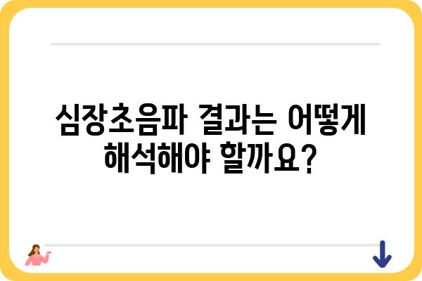 심장초음파 검사, 궁금한 모든 것 | 종류, 과정, 결과 해석, 주의사항