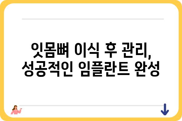 임플란트 잇몸 이식| 성공적인 수술을 위한 모든 것 | 임플란트, 잇몸뼈 이식, 치과 수술, 치아 건강