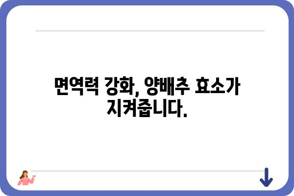 양배추 효소의 놀라운 효능| 건강과 미용, 그리고 삶의 질 향상 | 소화, 면역, 항암, 피부, 다이어트