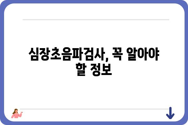 심장초음파검사, 궁금한 모든 것 | 종류, 준비사항, 결과 해석, 주의사항