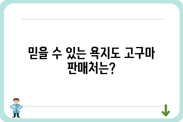 욕지도 고구마, 맛과 영양 가득! 믿을 수 있는 판매처 찾기 | 욕지도 고구마, 농장 직거래, 택배 주문, 선물