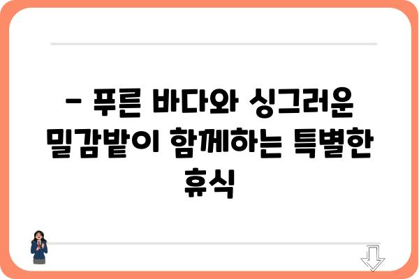 욕지도 밀감밭 한가운데, 힐링을 위한 특별한 팬션 | 욕지도, 밀감밭, 팬션, 숙박, 여행, 뷰, 가족여행, 커플여행