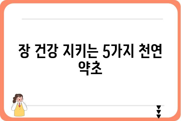 대장 건강에 좋은 약초 5가지 | 장 건강, 변비, 숙변 제거, 천연 약초, 건강 정보