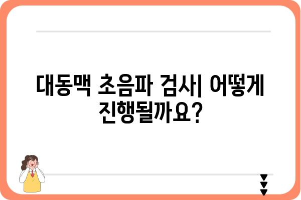 대동맥 초음파 검사| 알아야 할 모든 것 | 심장 건강, 검사 절차, 결과 해석, 주의 사항