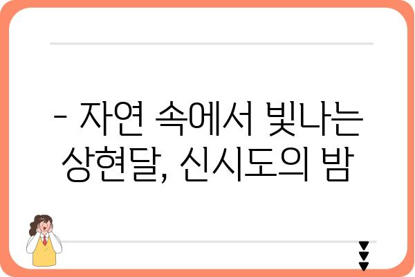 신시도 국립자연휴양림에서 바라본 상현달의 매력 | 가을밤, 자연 속에서 만나는 아름다움