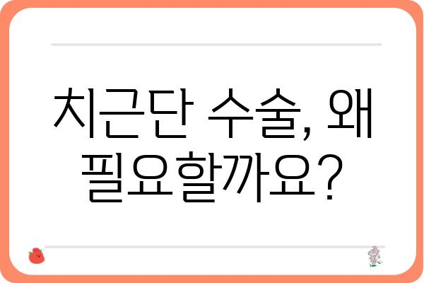 치근단 수술, 궁금한 모든 것| 치료 과정부터 주의사항까지 | 치근단 수술, 치근단 절제술, 신경치료, 치과