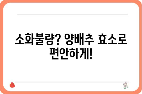 양배추 효소의 놀라운 효능| 건강과 미용, 그리고 삶의 질 향상 | 소화, 면역, 항암, 피부, 다이어트