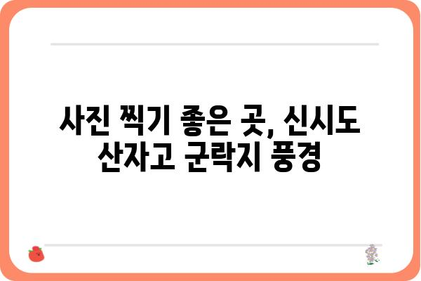 군산 신시도 산자고 군락지, 봄의 아름다움을 만나다 | 군산 가볼만한곳, 봄꽃 명소, 산자고 꽃