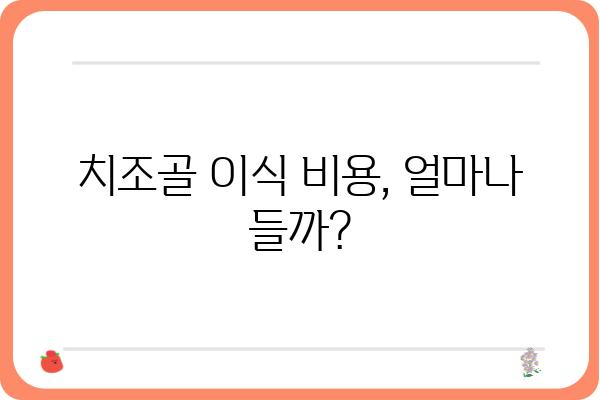 임플란트 치조골 보험, 궁금한 점 모두 해결! | 치조골 이식, 보험 적용, 비용, 절차, 주의사항