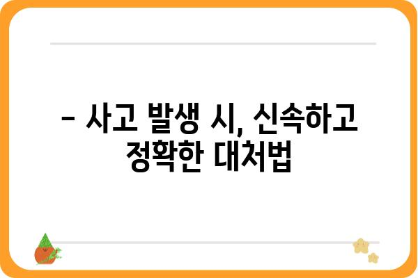 욕지도 사고| 안전운전 및 사고 대처 가이드 | 욕지도, 교통사고, 안전, 대처, 정보