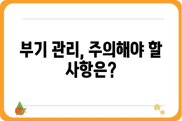 임플란트 후 부기, 빠르게 빼는 꿀팁 5가지 | 부기 완화, 회복 촉진, 관리법