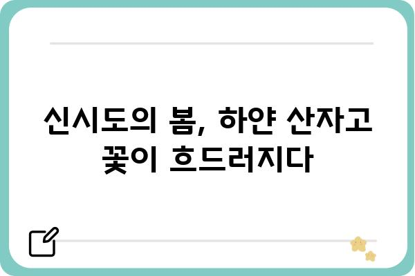 군산 신시도 산자고 군락지, 봄의 아름다움을 만나다 | 군산 가볼만한곳, 봄꽃 명소, 산자고 꽃