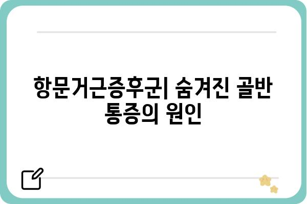 항문거근증후군 치료| 증상, 원인, 치료 방법 및 예방 가이드 | 항문 통증, 골반 통증, 요실금, 변비