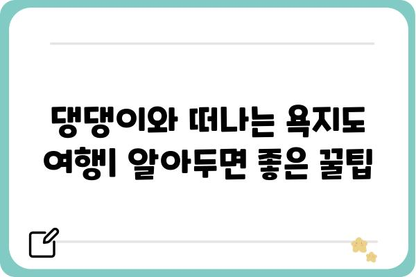 욕지도 애견동반 여행 완벽 가이드| 숙소, 맛집, 즐길거리 총정리 | 댕댕이와 함께 떠나는 섬 여행, 꿀팁 대방출