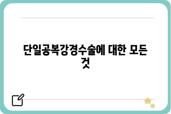 단일공복강경수술, 알아야 할 모든 것 | 장점, 과정, 회복, 부작용, 비용, 병원 정보