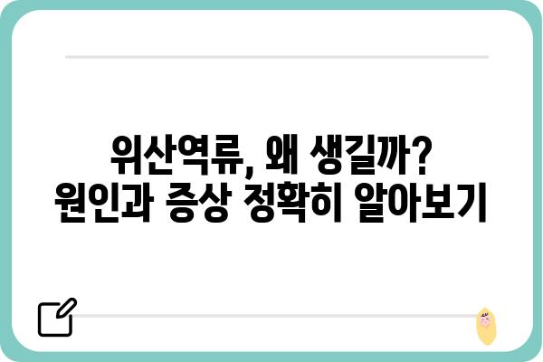 위산역류, 이제 그만! | 위산역류 원인과 증상, 치료 및 관리법 완벽 가이드