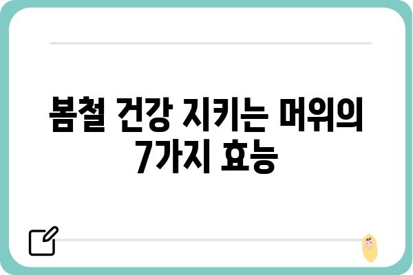 머위의 놀라운 효능 7가지 | 건강, 봄나물, 면역력, 항산화, 해독, 부종, 소화