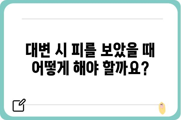 대변 볼 때 피| 원인과 해결책 | 변비, 설사, 항문 질환, 건강 팁