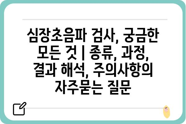 심장초음파 검사, 궁금한 모든 것 | 종류, 과정, 결과 해석, 주의사항