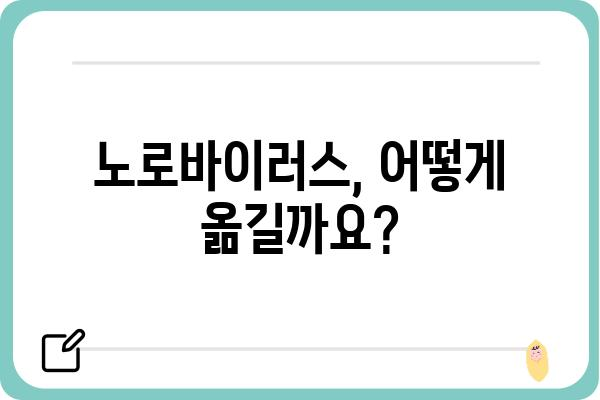 노로바이러스 감염, 예방부터 관리까지 완벽 가이드 | 위생, 증상, 치료, 식품 안전