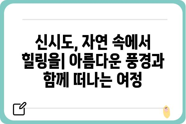 신시도 여행 필수 코스| 숨겨진 보석 같은 명소 5곳 | 신시도 가볼만한곳, 신시도 여행, 섬 여행, 서해안 여행