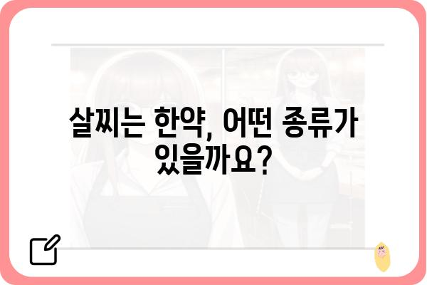 살찌는 한약, 효과적인 선택 가이드 | 체중 증가, 한약 종류, 부작용, 주의 사항