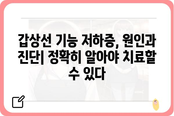 갑상선 기능 저하증 증상 완벽 가이드 | 원인, 진단, 치료, 관리, 예방