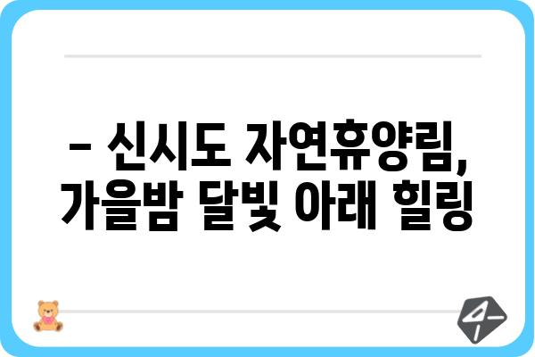 신시도 국립자연휴양림에서 바라본 상현달의 매력 | 가을밤, 자연 속에서 만나는 아름다움