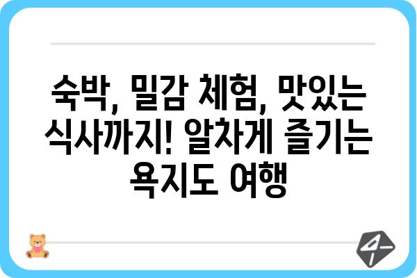 통영 욕지도 밀감밭펜션| 힐링과 맛을 동시에! | 숙박, 밀감, 뷰, 체험