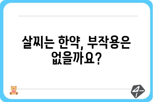 살찌는 한약, 효과적인 선택 가이드 | 체중 증가, 한약 종류, 부작용, 주의 사항