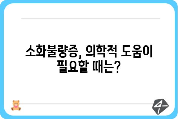 소화불량증, 이제 걱정하지 마세요! | 원인부터 해결책까지 완벽 가이드