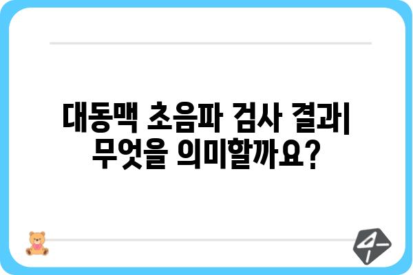 대동맥 초음파 검사| 알아야 할 모든 것 | 심장 건강, 검사 절차, 결과 해석, 주의 사항