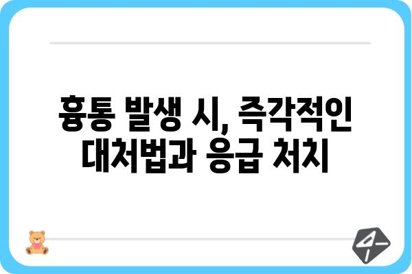 흉통, 심각한 문제일까요? 원인과 대처법 알아보기 | 가슴 통증, 건강, 응급처치