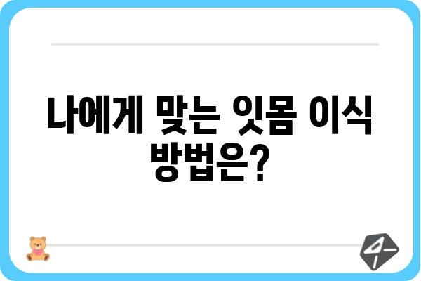 임플란트 잇몸 이식| 성공적인 수술을 위한 모든 것 | 임플란트, 잇몸뼈 이식, 치과 수술, 치아 건강