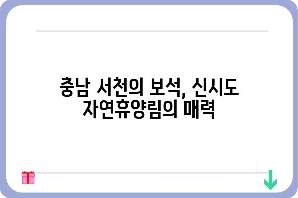 신시도 자연휴양림| 힐링 가득한 숲 속 여행 | 충남 서천, 자연휴양림, 캠핑, 산책, 등산