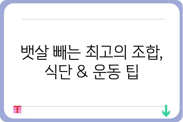 뱃살 빼는 가장 효과적인 방법 5가지 | 뱃살, 복부비만, 다이어트, 운동, 식단