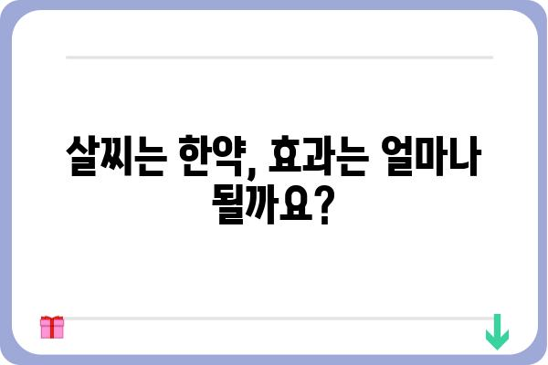 살찌는 한약, 효과적인 선택 가이드 | 체중 증가, 한약 종류, 부작용, 주의 사항