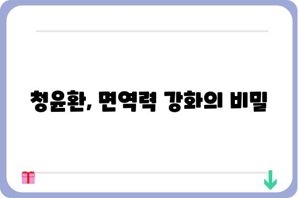 청윤환의 놀라운 효능| 면역력 강화부터 피부 개선까지 | 건강, 면역, 피부, 효능, 청윤환