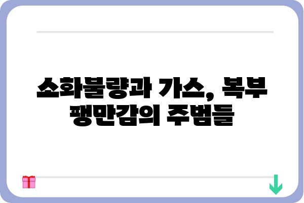 복부 팽만감, 원인과 해결책| 당신의 불편함을 해소하는 7가지 방법 | 소화불량, 가스, 변비, 건강, 식습관