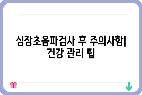 심장초음파검사, 궁금한 모든 것 | 종류, 준비사항, 결과 해석, 주의사항