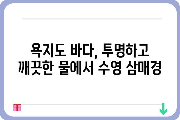 욕지도 여름휴가, 시원한 바다에서 즐기는 수영 명소 | 욕지도, 수영, 여름휴가, 바다, 추천