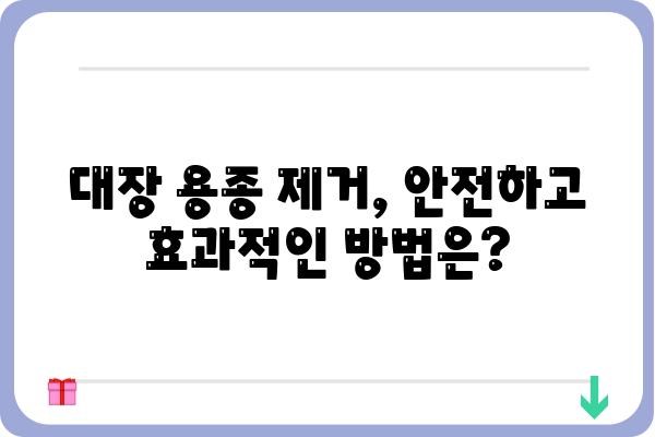 대장 용종, 관상선종| 증상, 원인, 치료 | 대장 내시경, 용종 제거, 건강 관리