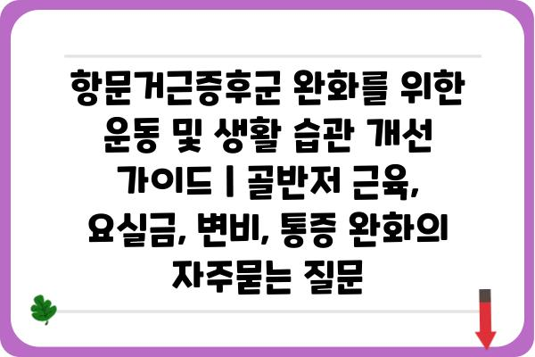 항문거근증후군 완화를 위한 운동 및 생활 습관 개선 가이드 | 골반저 근육, 요실금, 변비, 통증 완화