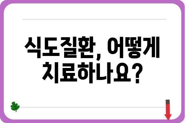 식도질환, 나에게 맞는 치료법은? | 증상, 원인, 치료, 예방, 식도질환 종류, 식도염, 역류성 식도염, 식도암